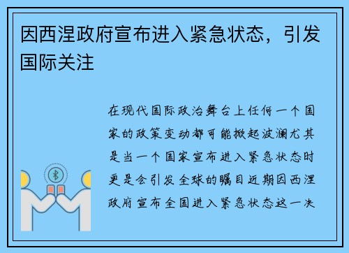 因西涅政府宣布进入紧急状态，引发国际关注