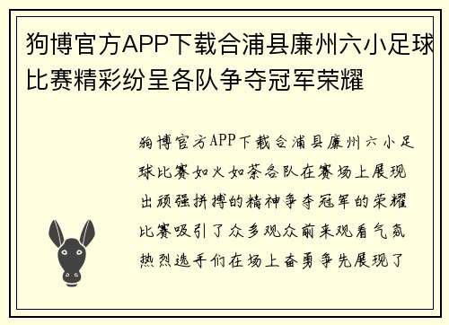 狗博官方APP下载合浦县廉州六小足球比赛精彩纷呈各队争夺冠军荣耀