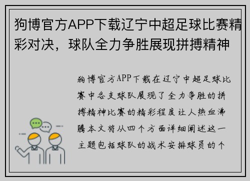 狗博官方APP下载辽宁中超足球比赛精彩对决，球队全力争胜展现拼搏精神